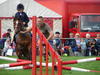 Egton Show