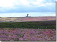 Purple heather above Goathland