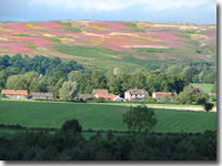 Goathland surrounded by purple heather