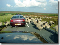 Goathland traffic jam