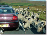 Goathland traffic jam