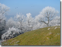 Winter in Goathland