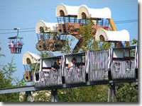 Flamingoland