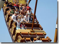 Flamingoland