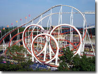Flamingoland