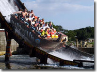Flamingoland