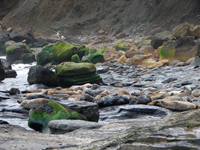 Ravenscar seals