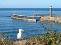 Whitby Jetties