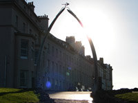 Whitby Whale bones