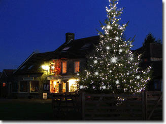 Goathland Village Christmas Tree